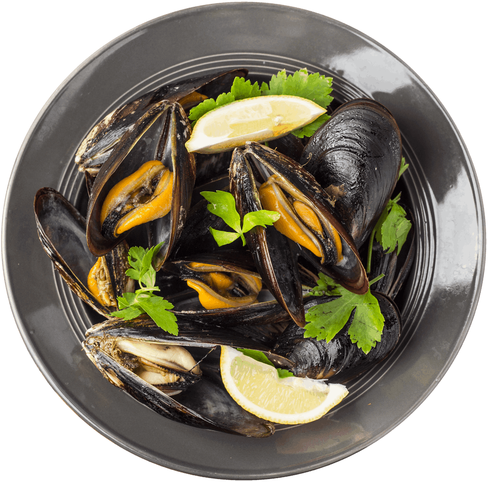 Calixto Restaurante - Sea - Grill - Japan - Food - Comida - Lomas de Angelopolís - Puebla - Atlixco - Cholula - Mar - Parrilla -Comida-Japonesa - Sushi - Cerveza